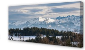 Zdjęcie na płótnie Góry Zimą w Śniegu