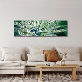 Obraz - Makro zdjęcie kwiatu (170x50 cm)