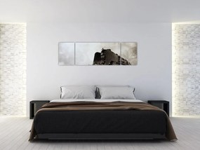 Obraz - Pociąg we mgle (170x50 cm)