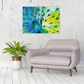 Obraz na szkle pawia (70x50 cm)