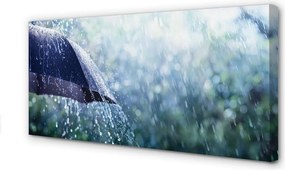 Zdjęcie na płótnie Deszczowe Krople na Parasolu