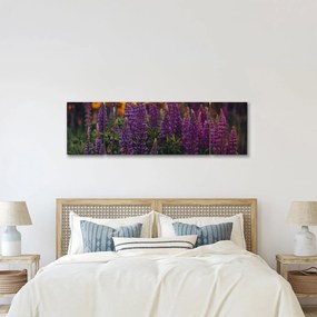 Obraz kwiatów łubinu (170x50 cm)