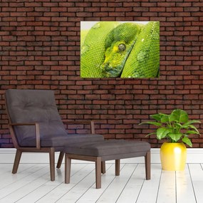 Obraz węża (70x50 cm)