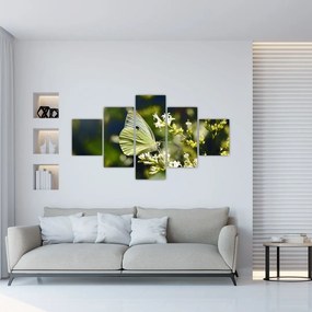 Obraz motyla (125x70 cm)