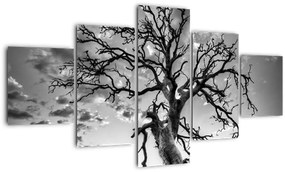 Obraz - Czarno - białe drzewo (125x70 cm)