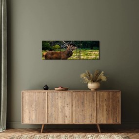 Obraz jelenia (z zegarem) (90x30 cm)