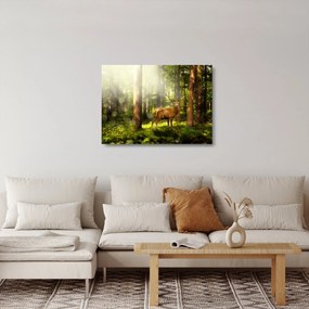 Obraz na szkle jelenia w lesie (70x50 cm)