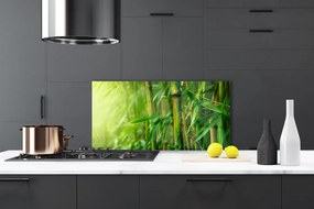 Panel Kuchenny Świeże Pędy Zielonego Bambusa