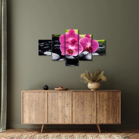 Obraz - Różowe orchidee z liściem palmy (125x70 cm)