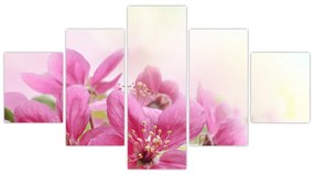 Obraz - Różowe kwiaty (125x70 cm)