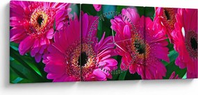 Obraz - kwiaty (z zegarem) (90x30 cm)