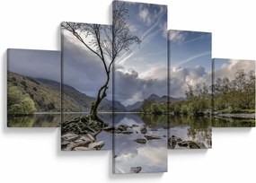 Obraz rzeki z drzewem (125x70 cm)