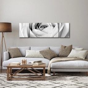 Obraz - Detal kwiatu róży (170x50 cm)