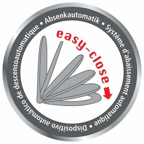 Deska sedesowa ASTERA - mechanizm Easy Close, Duroplast, WENKO