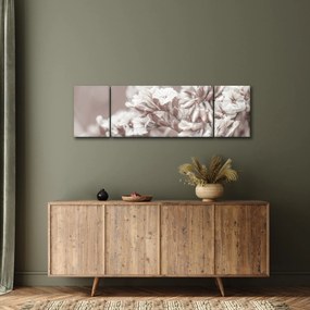 Obraz - Szczegół gałązek (170x50 cm)