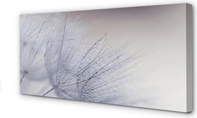 Duży obraz na płótnie Dmuchawce w Porannej Rosie