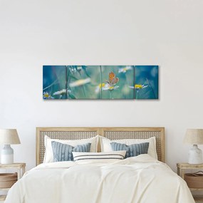 Obraz - Motyl na stokrotce (170x50 cm)