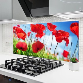 Panel Szklany Polne Maki W Rozkwicie