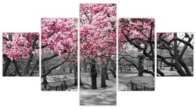 Obraz drzew magnolii (125x70 cm)