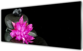 Panel Kuchenny Elegancja Zen: Kwiat I Głazy