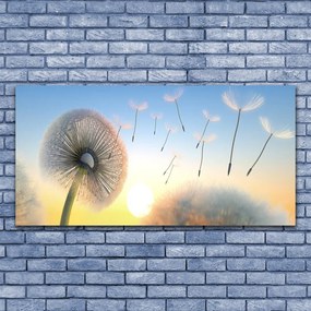 Obraz canvas Puszyste Parasolki Dmuchawca