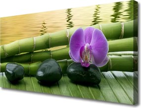 Fotoobraz na płótnie Harmonijny Bambus i Kwiaty