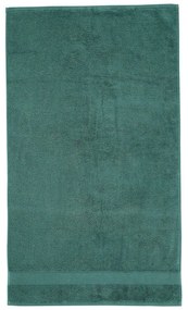 Ciemnozielony bawełniany ręcznik frotte 50x85 cm Anti-Bacterial – Catherine Lansfield