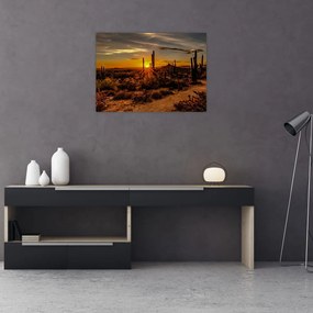 Obraz na szkle - Koniec dnia na pustyni w Arizonie (70x50 cm)