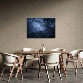 Obraz na szkle ciemnego lasu (70x50 cm)