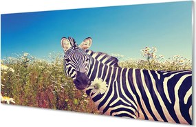 Panel szklany do Kuchni Zebra wśród Polnych Kwiatów