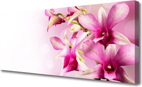 Obraz canvas Wiosenna Świeżość Kwiatów