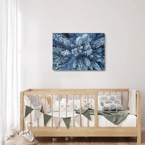 Obraz na szkle - Śnieżny las (70x50 cm)