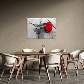 Obraz na szkle czerwonej róży (70x50 cm)