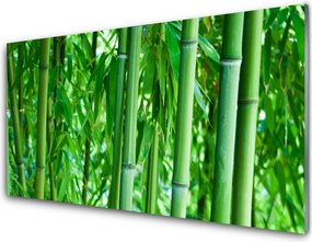 Szkło do Kuchni na Ścianę Zielony Pęd Bambusa