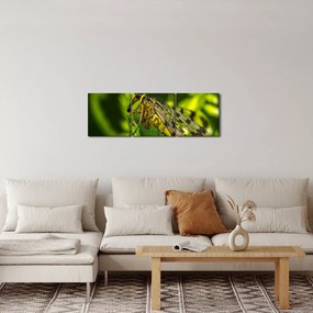 Obraz owada (z zegarem) (90x30 cm)