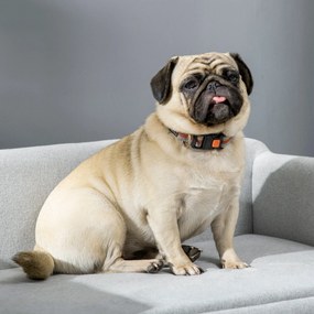 PawHut Sofa dla psa z miękkim obiciem legowisko dla psa sofa dla kota z drewnianymi nogami | Aosom PL