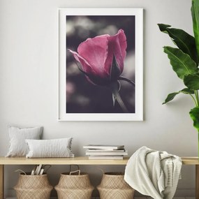 Plakat - Kwiat róży (A4)