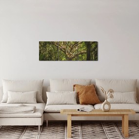 Obraz drzewa (z zegarem) (90x30 cm)