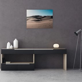 Obraz - Z pustyni (70x50 cm)