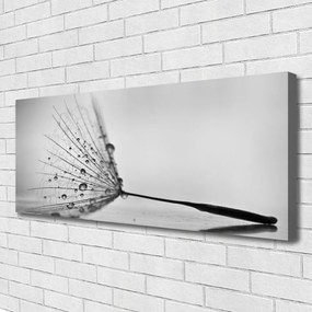 Duży obraz na płótnie Dywan Czerwonych Maków na Łące