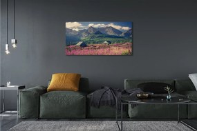 Obraz drukowany na płótnie Góry, Pola i Domki