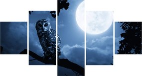 Obraz - Nocna Sowa (125x70 cm)