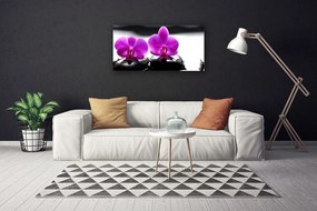 Obraz Canvas Kwiaty Orchidea Natura