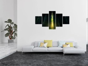 Obraz ciemnego lasu (125x70 cm)