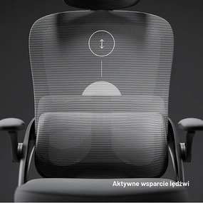 Fotel biurowy, ergonomiczny Diablo V-Light, szary