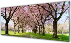 Panel Szklany Aleja w Cieniu Drzew