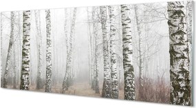 Panel szklany do Kuchni Mglisty Poranek wśród Brzóz