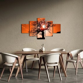 Obraz - Dąb o zachodzie słońca (125x70 cm)