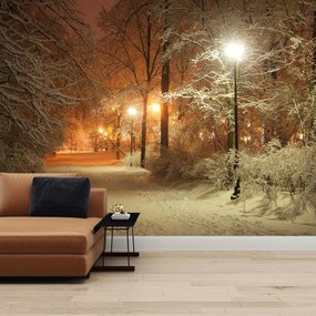 Fototapeta - Śnieżny park (196x136 cm)