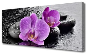 Obraz Canvas Storczyk Kwiaty Orchidea Spa